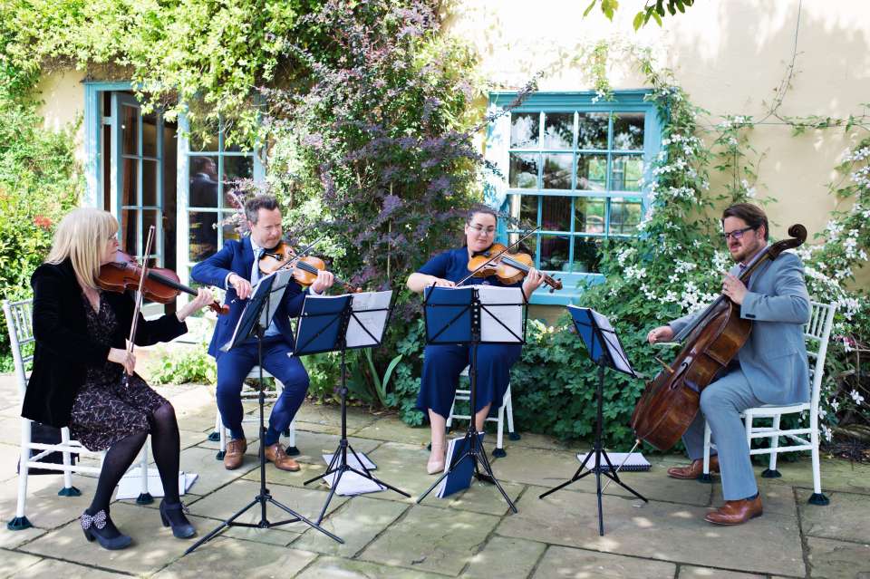 Strettino String Quartet Kent String Quartet 15